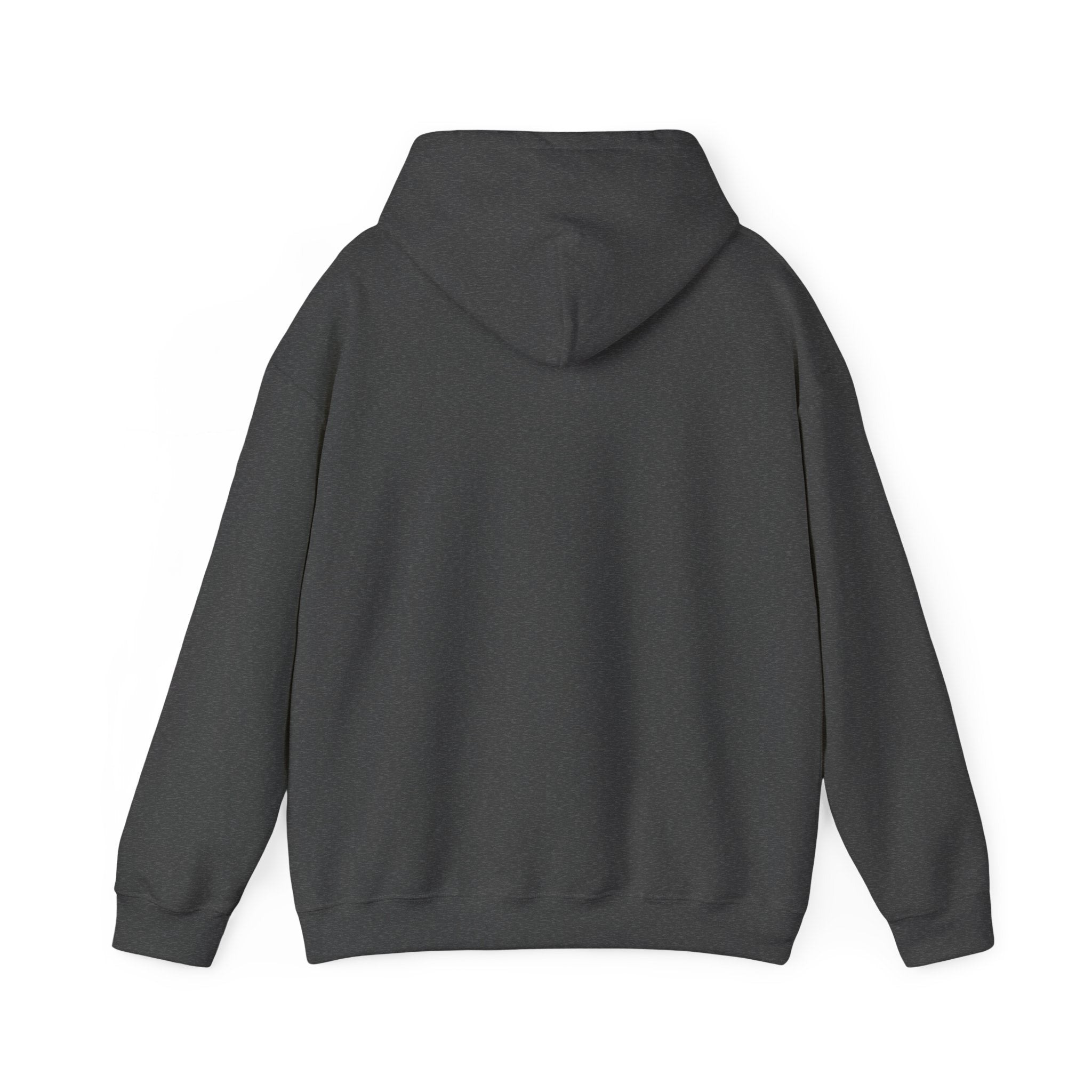 SOLO / Hooded Sweatshirt