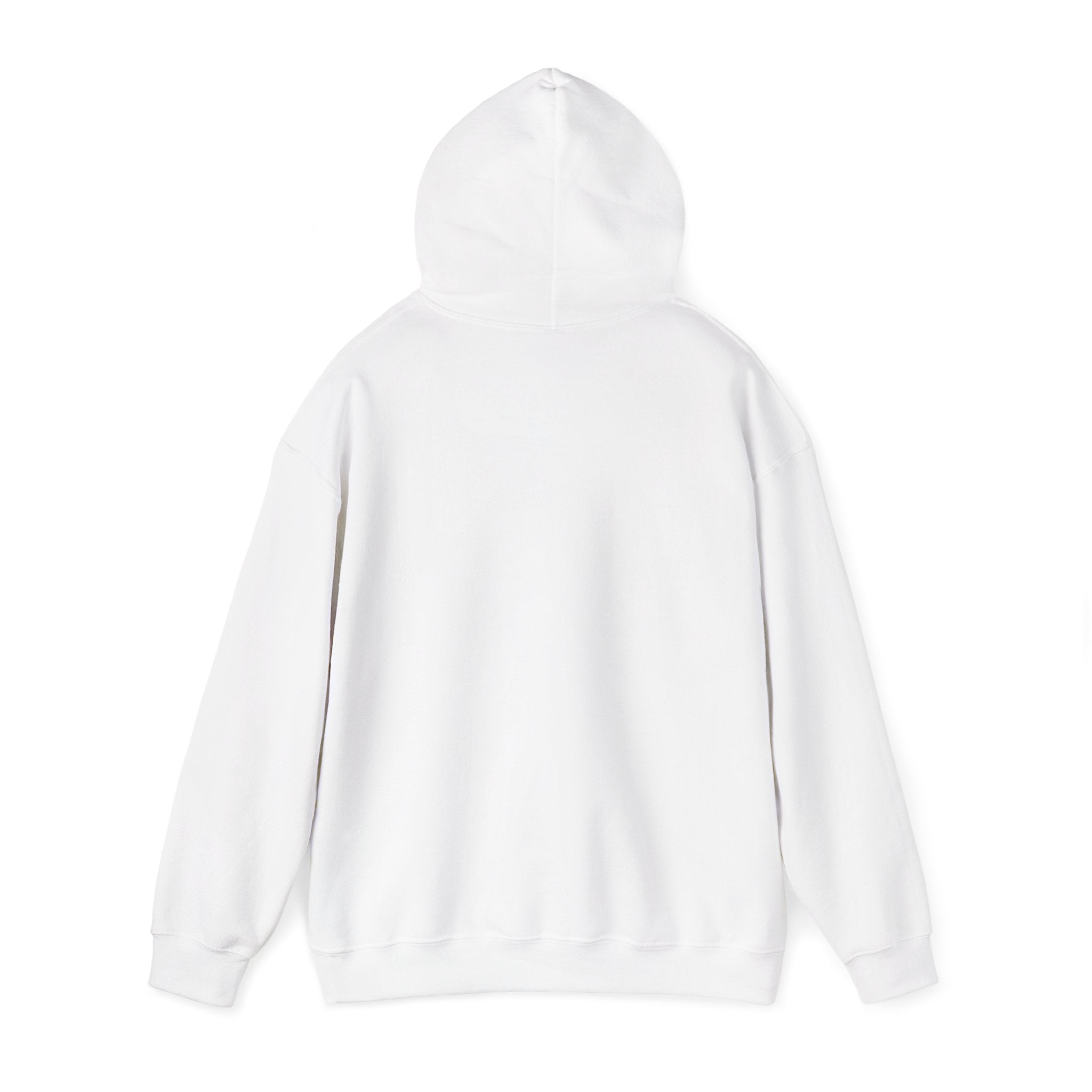SOLO / Hooded Sweatshirt