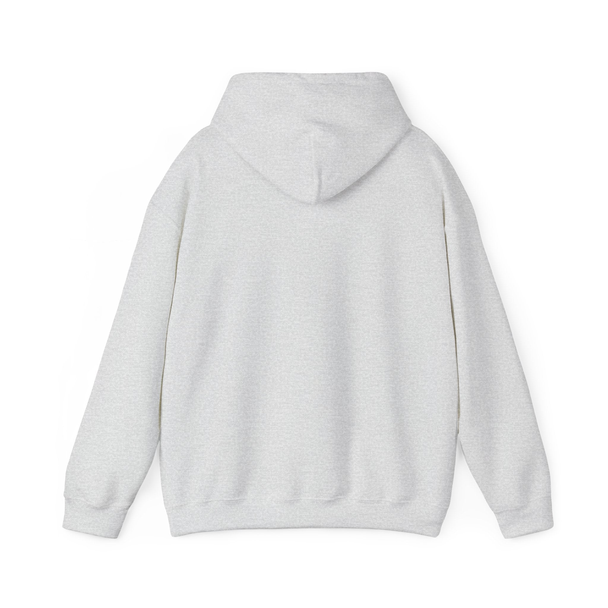 SOLO / Hooded Sweatshirt