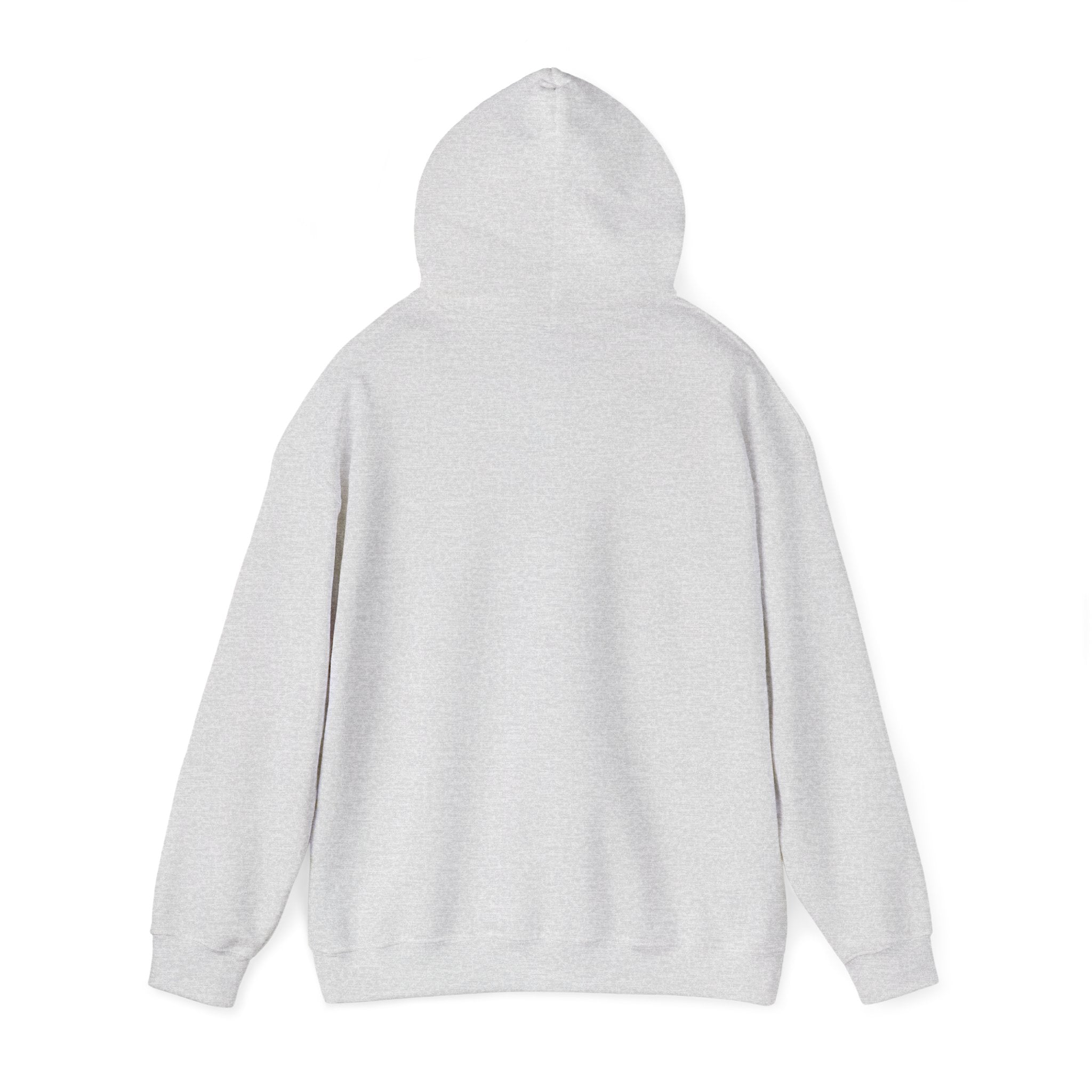SOLO / Hooded Sweatshirt