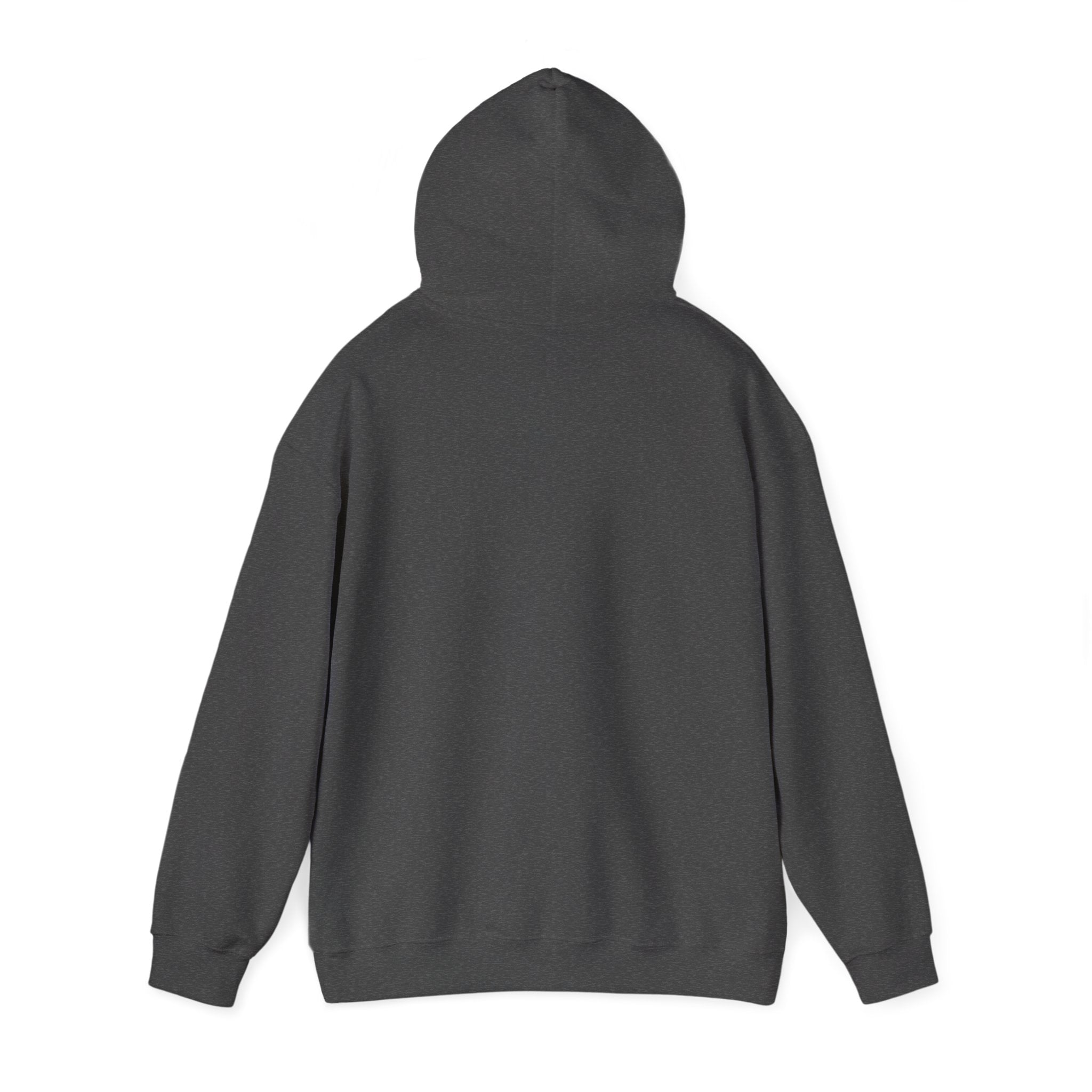 SOLO / Hooded Sweatshirt